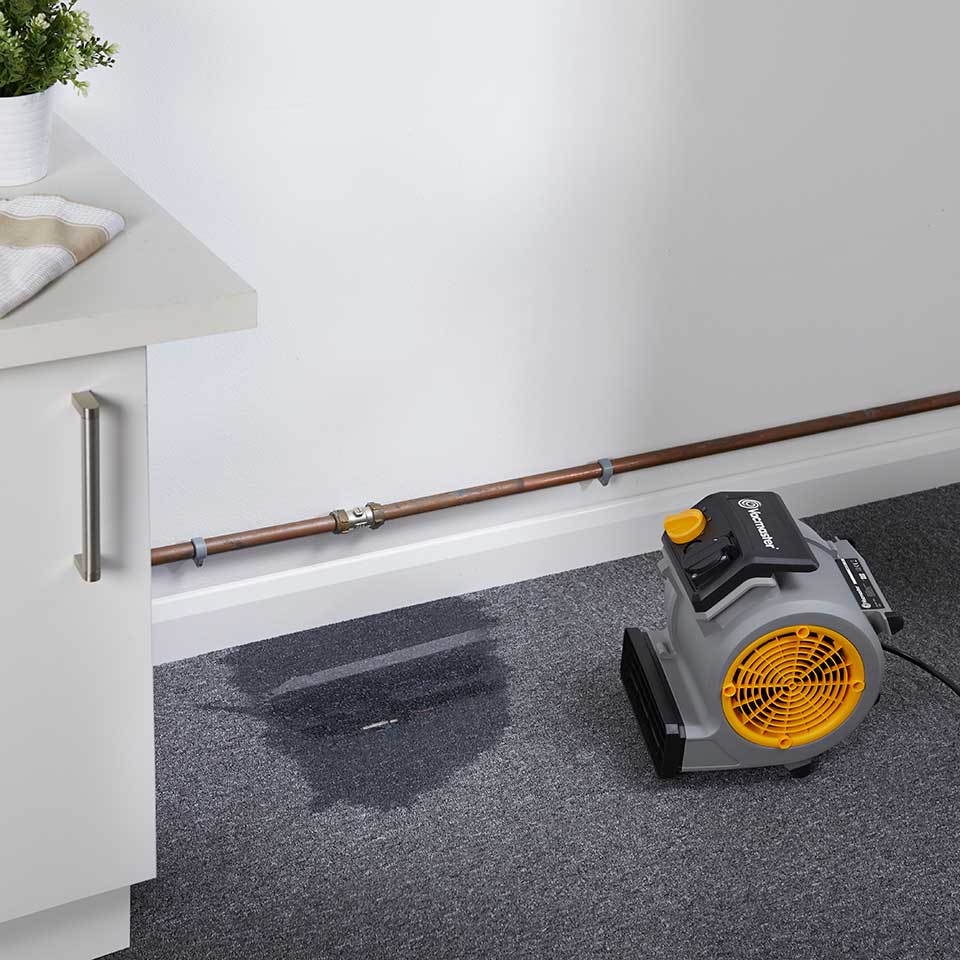 Vacmaster Air Mover - Image 6